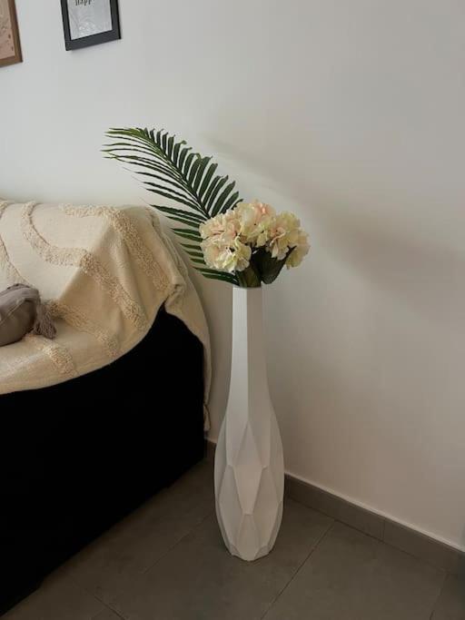Apartamento Piso Con Terraza A 5 Min Del Mar Alcanar Exterior foto